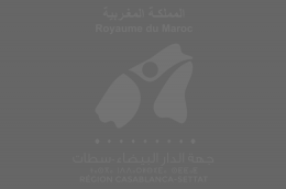برنامج لدعم الشباب لخلق مقاولات ناشئة مبتكرة مشاريع جهة الدار البيضاء سطات